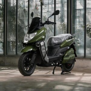 electric scooter suppliere (11)