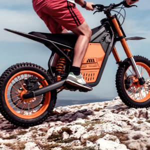 electric scooter suppliere (15)