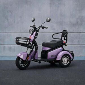 electric scooter suppliere (17)