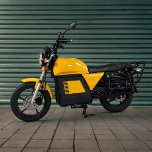 electric vehicles (5)