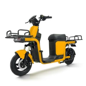 Cargo E-Bike with Long Rear Rack YP-B106