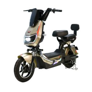Compact Electric Scooter YP-B123