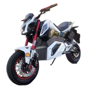 Street Electric Motorcycle YP-M207