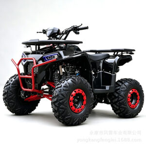 electric-atv-deluxe-two-seater-g1