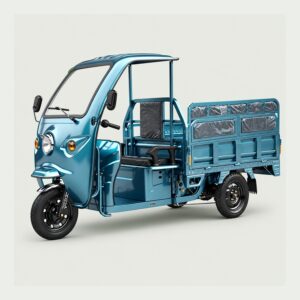 Electric Cargo Tricycle with Canopy