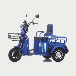 Electric Tricycle Two Seater Blue