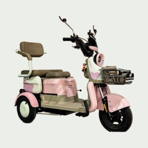 Electric Tricycle Two Seater Pink White